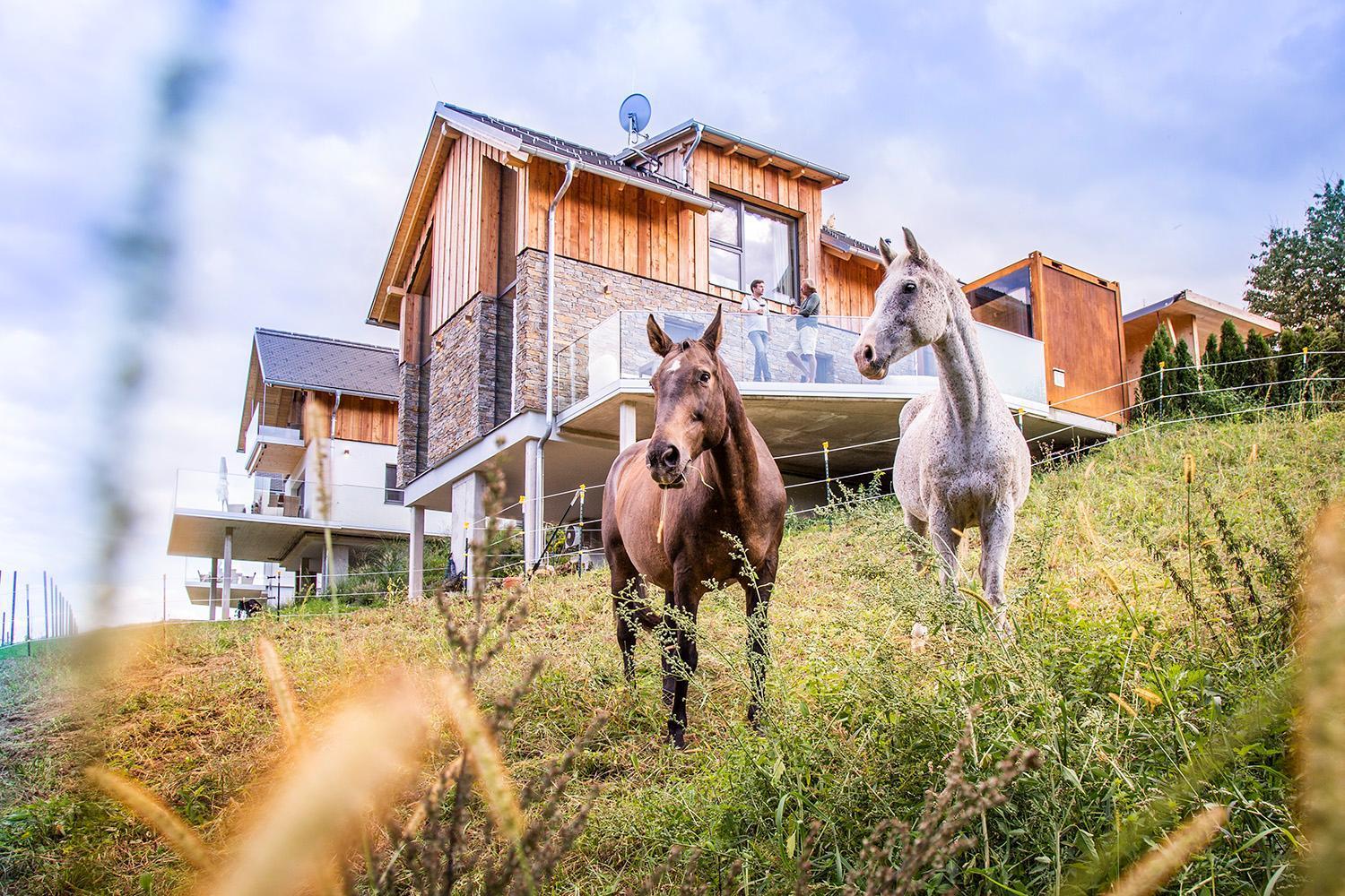 Golden Hill Country Chalets & Suites Waldschach Bagian luar foto