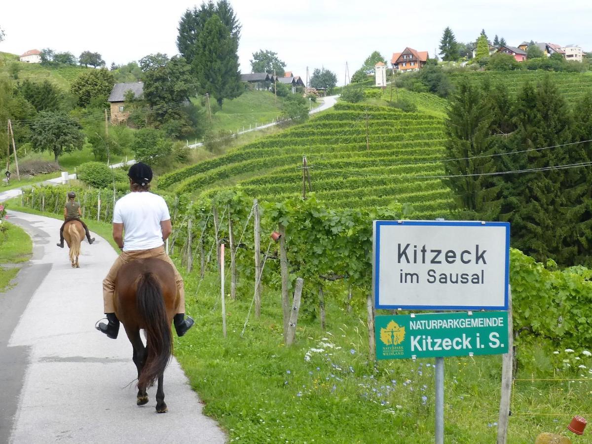 Golden Hill Country Chalets & Suites Waldschach Bagian luar foto