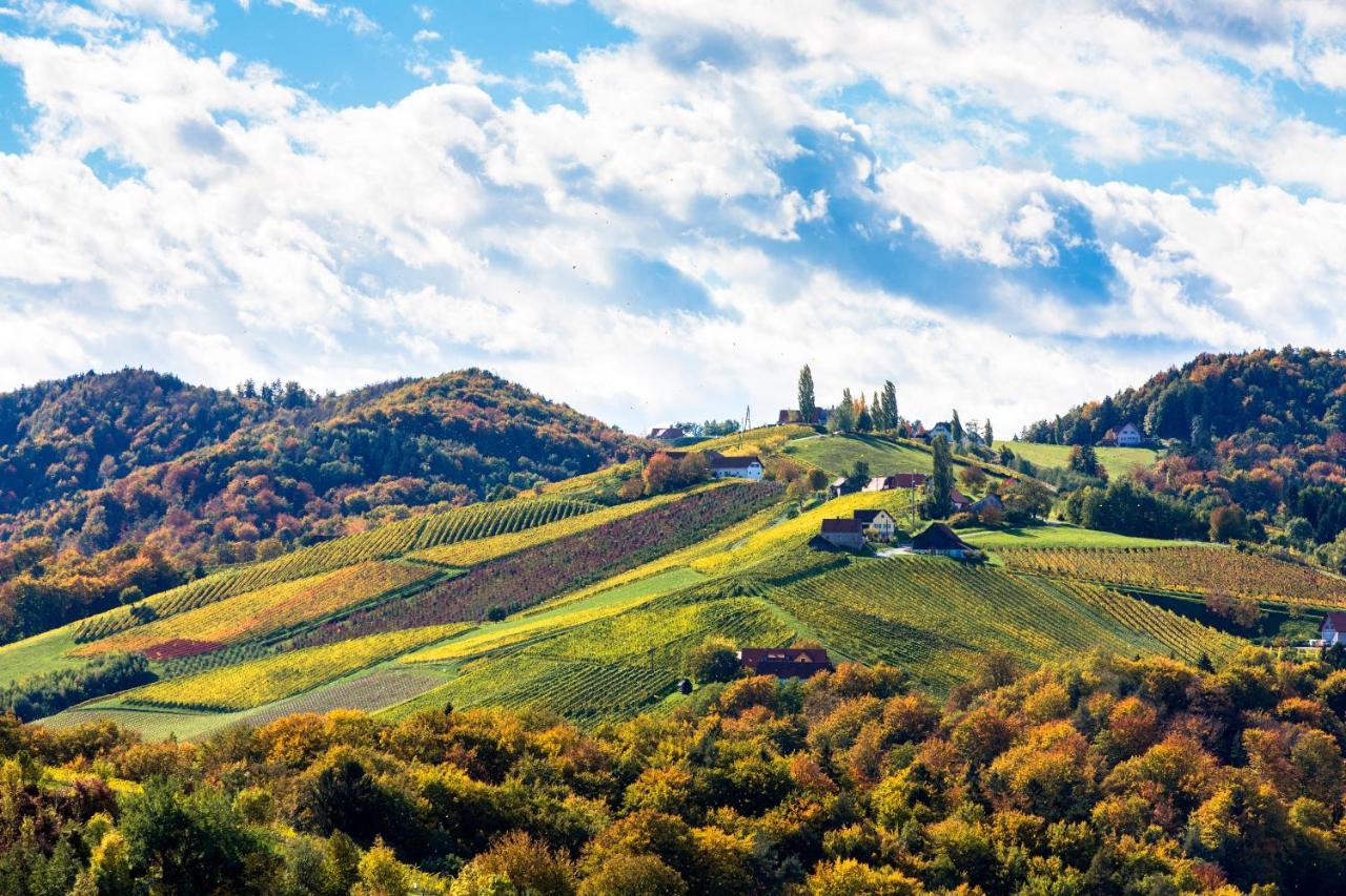 Golden Hill Country Chalets & Suites Waldschach Bagian luar foto